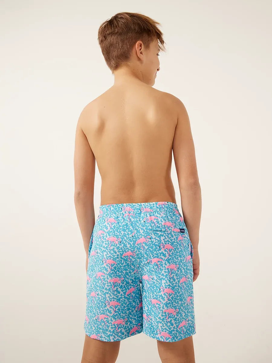 Chubbies The Domingos Are For Flamingos Swim Trunk Youth