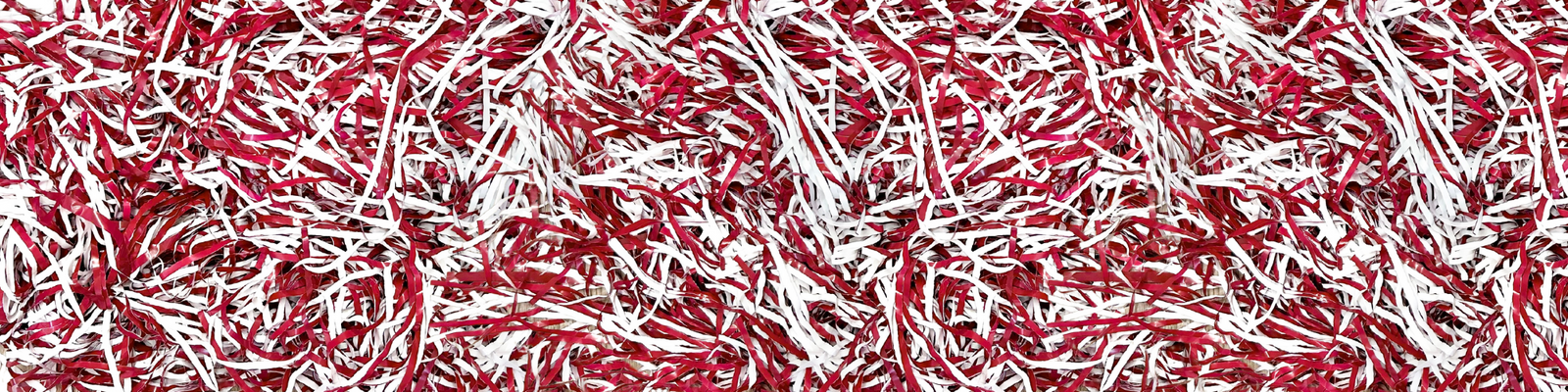 Men's Alabama Gameday