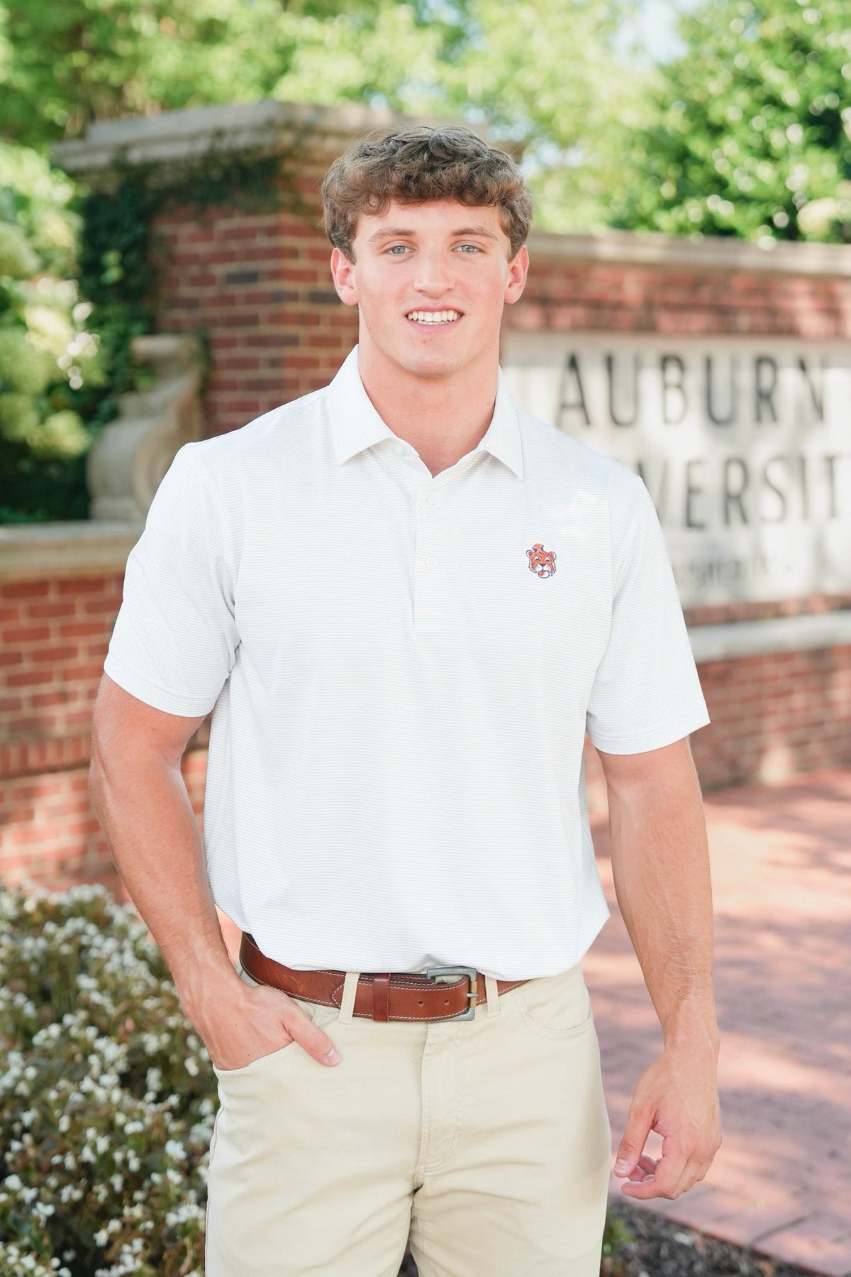 Genteal Auburn Serene Trellis Stripe