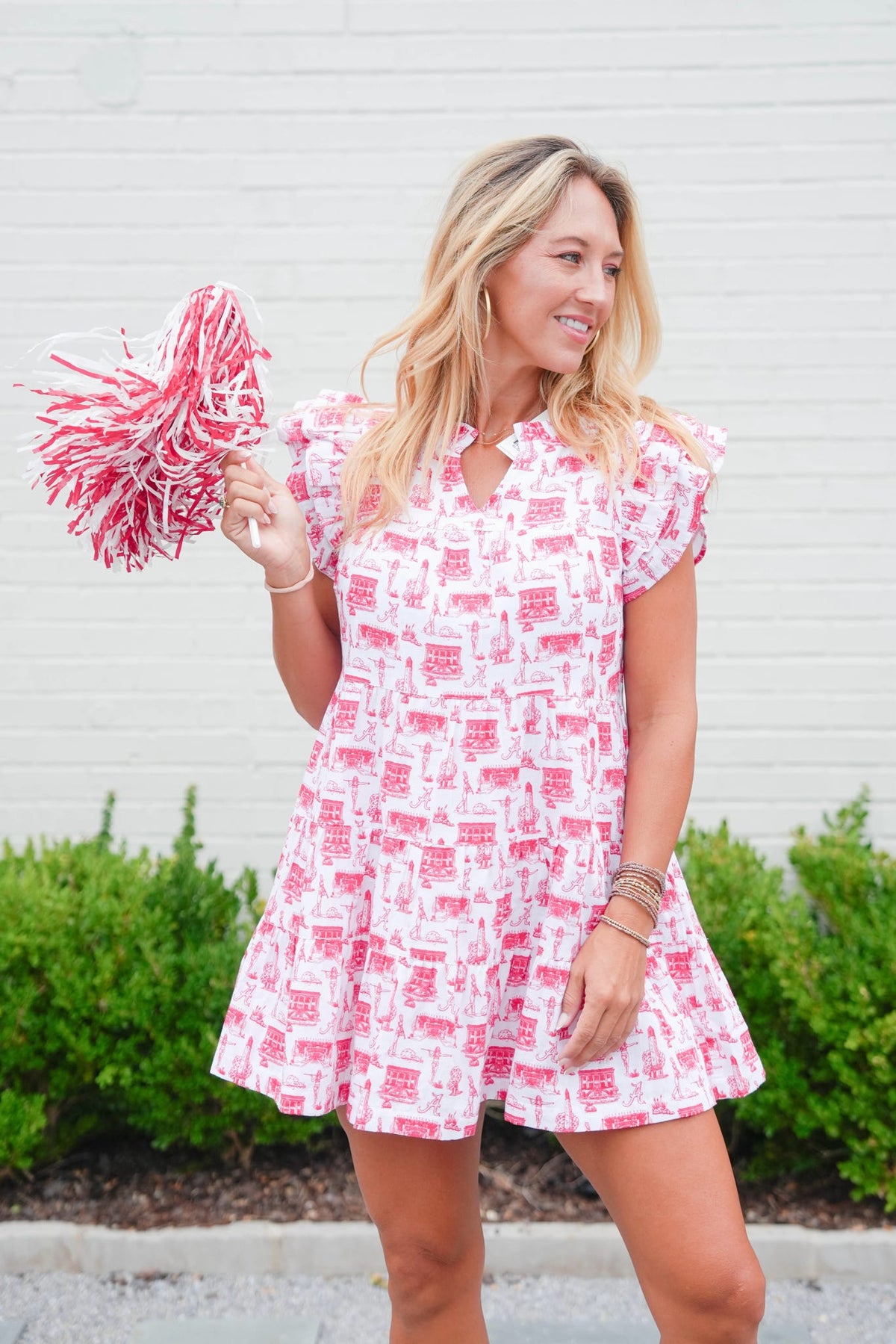 Stewart Simmons Alabama Toile Dress