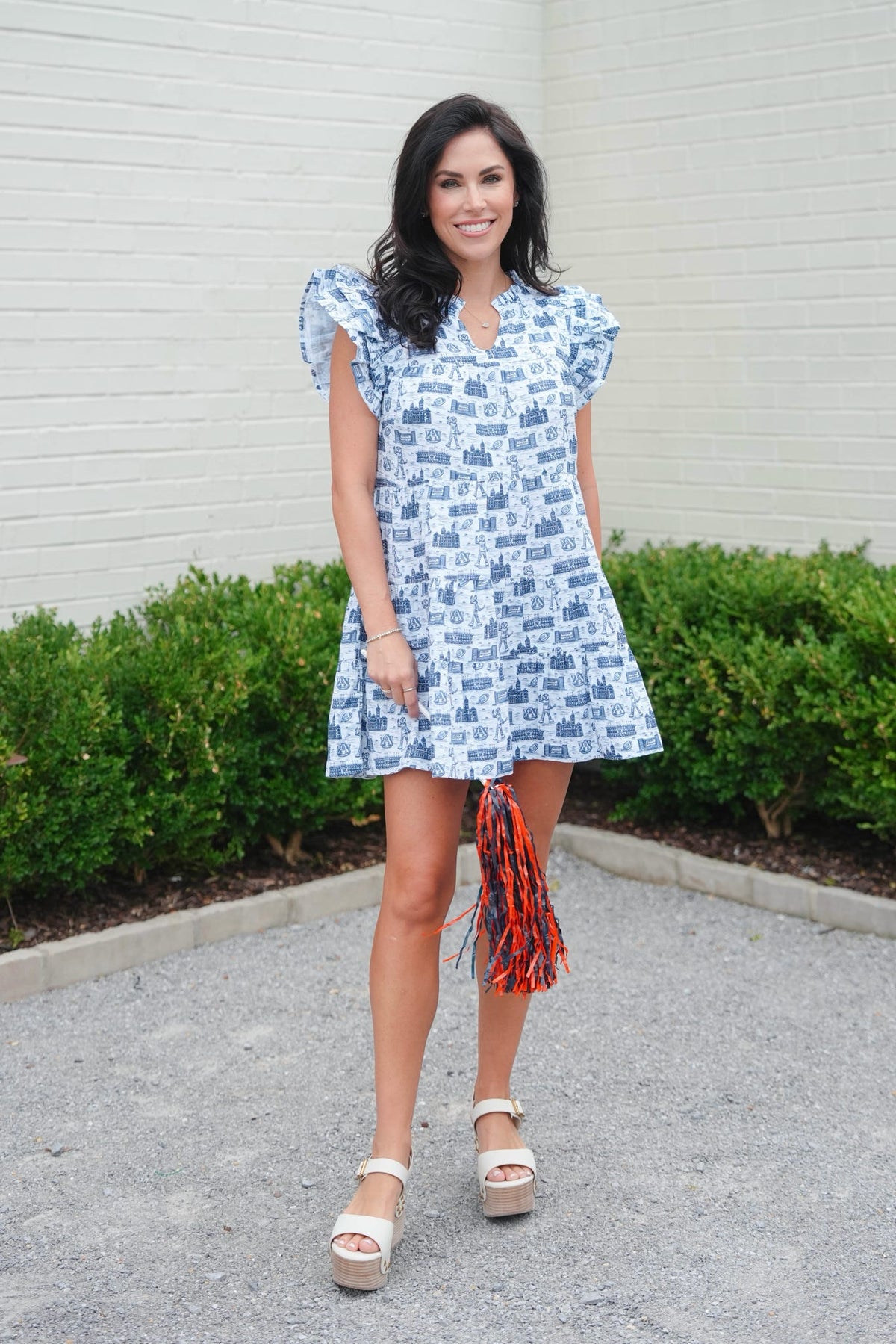 Stewart Simmons Auburn Toile Dress