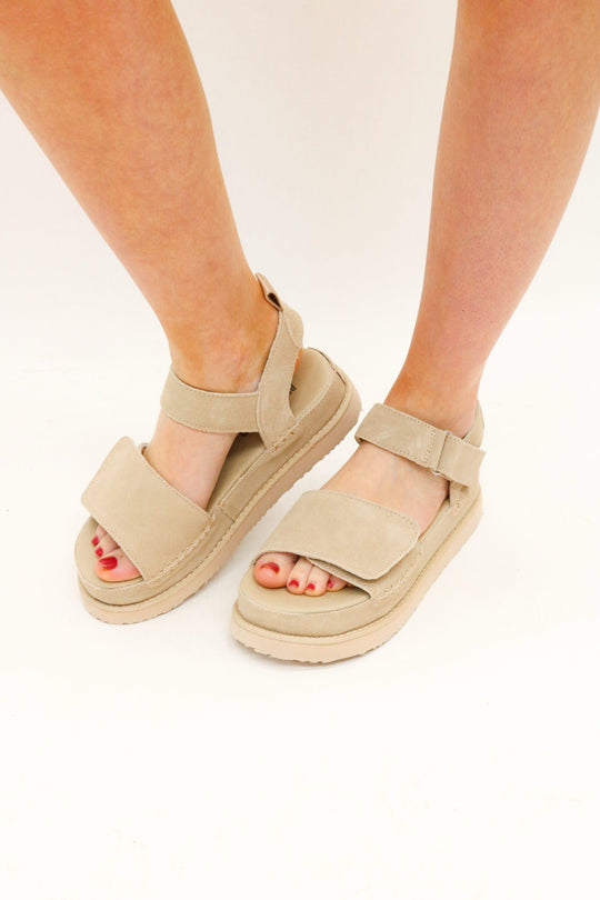 Project Cloud Bronze