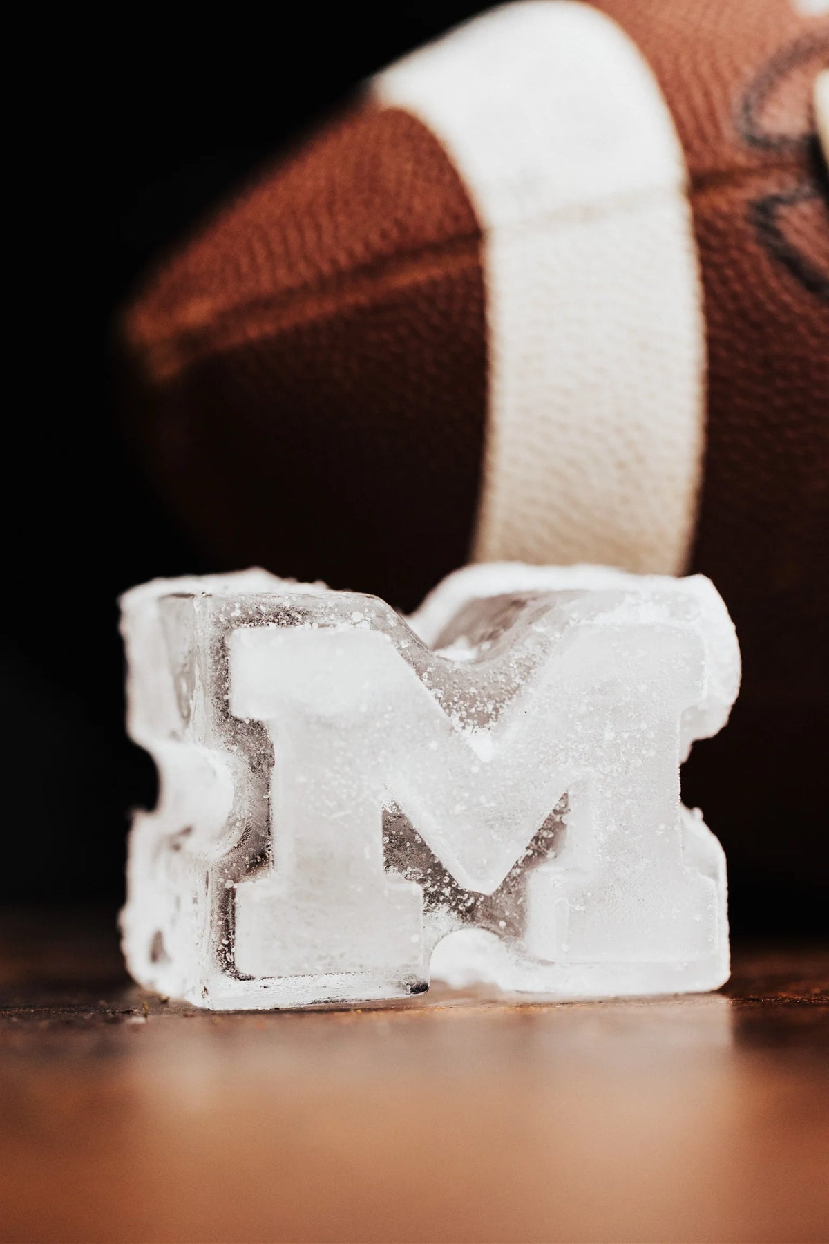 Team Ice Large Ice Mold