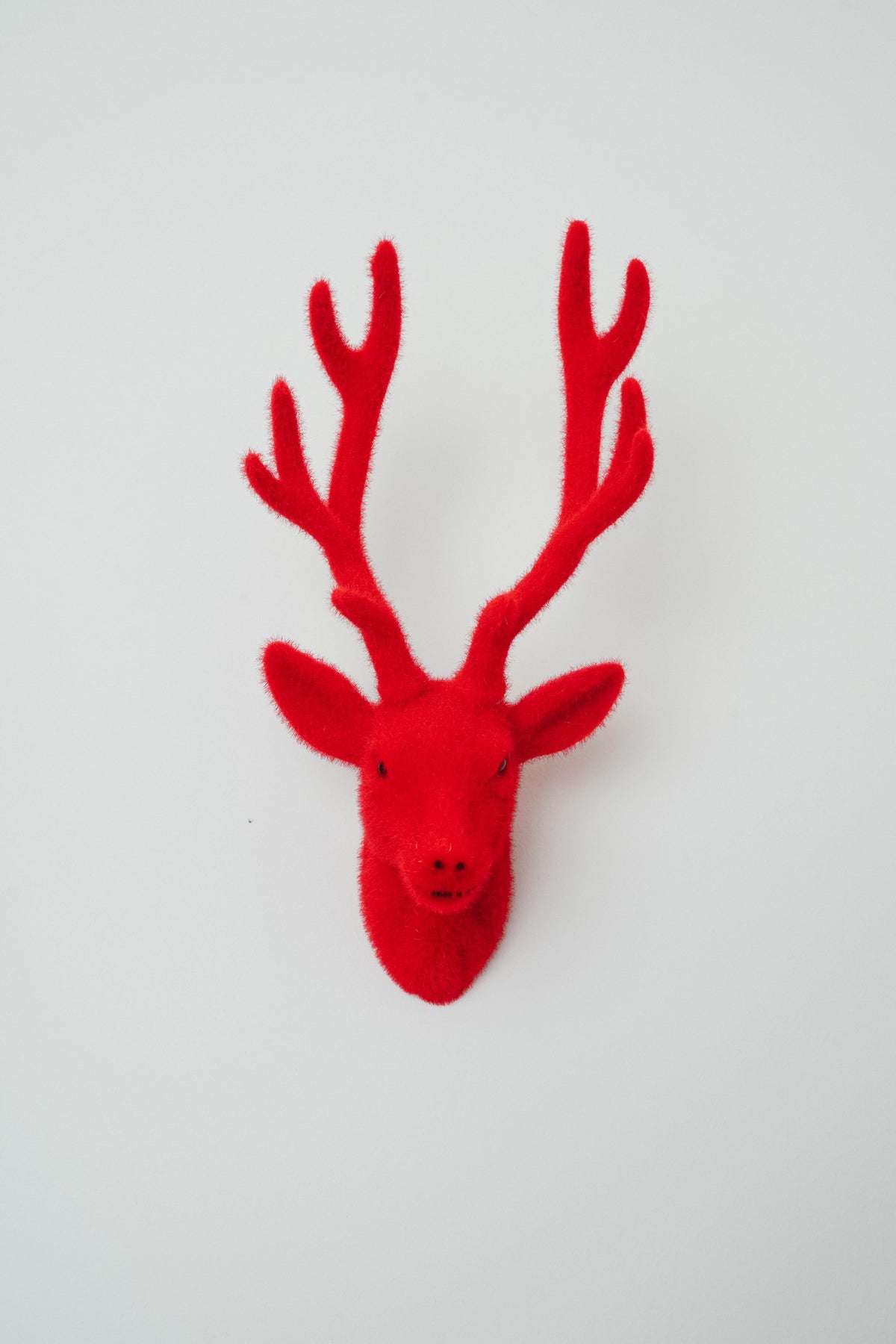 Reindeer Head For Wall