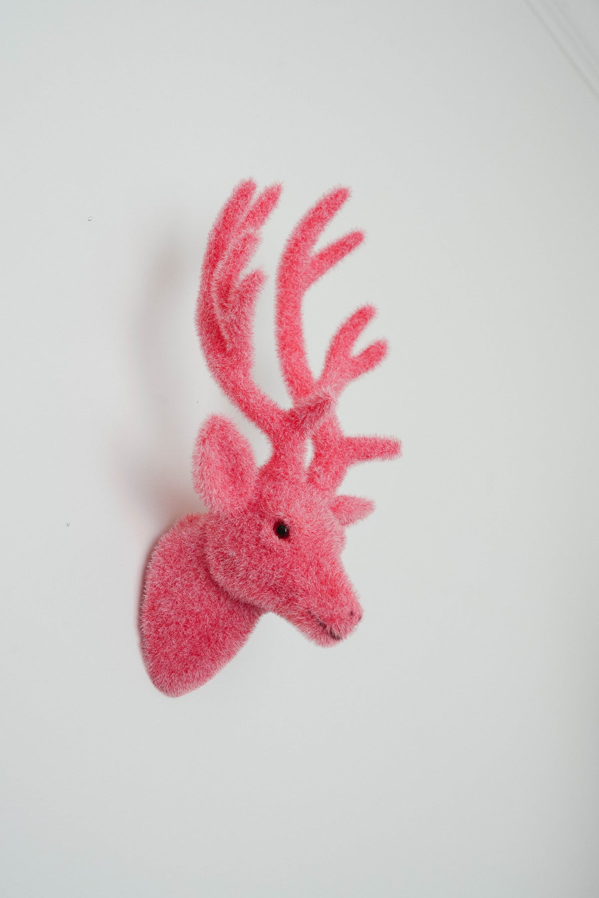 Reindeer Head For Wall