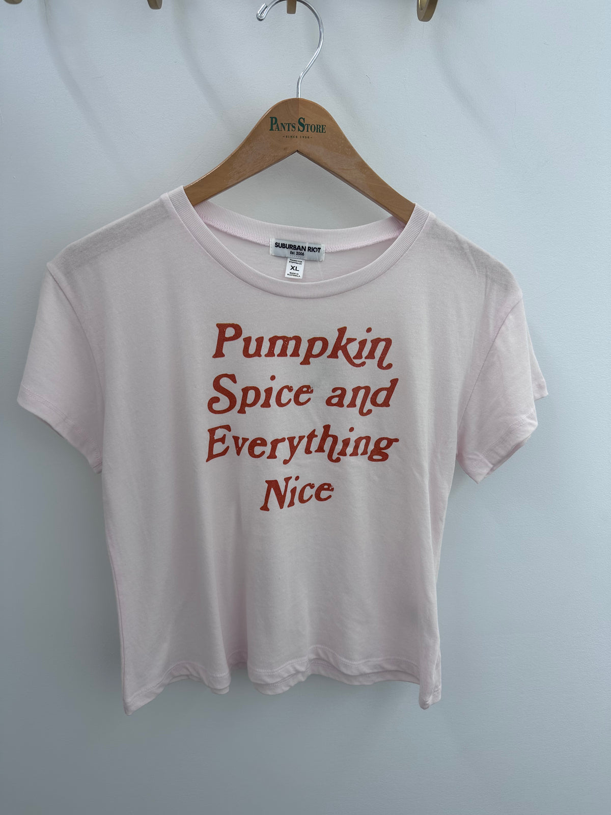 Pumpkin Spice Crop Tee Youth