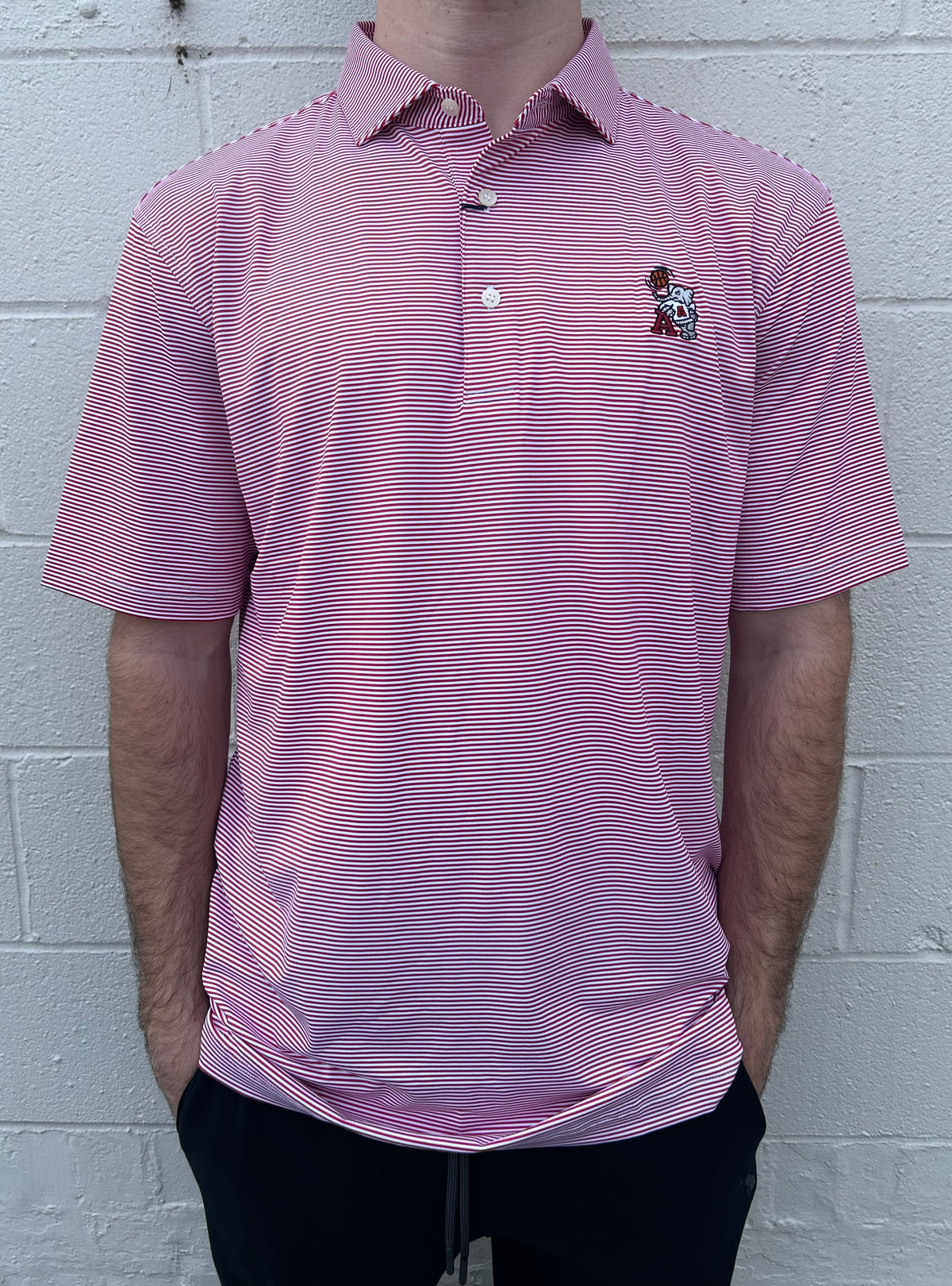 Turtleson Stripe Alabama Basketball Polo