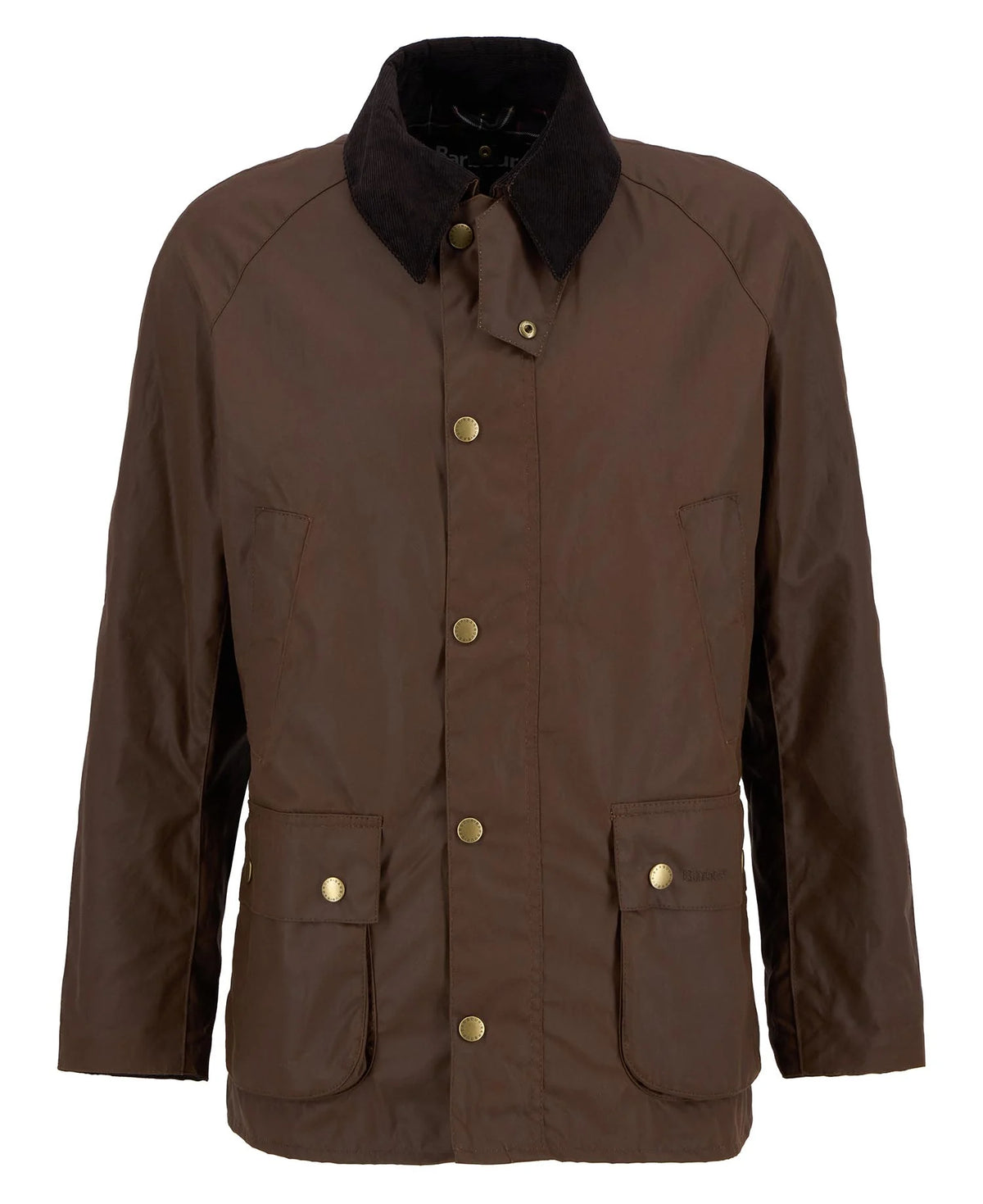 Brown collared coat