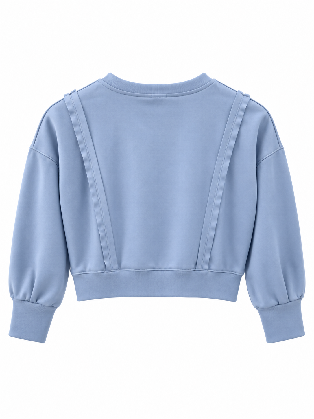 A light blue cropped sweatshirt with long balloon sleeves and vertical seam detailing on the back, shown against a plain white background.