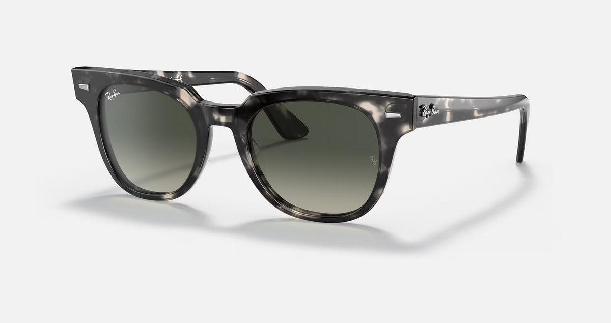 Ray Ban Meteor Fleck