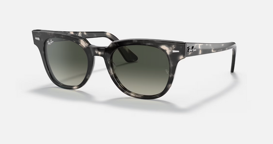 Ray Ban Meteor Fleck Sunglasses