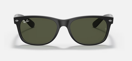 Ray Ban Wayfarer Rubber Sunglasses