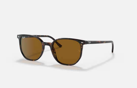 Ray Ban Elliot Sunglasses