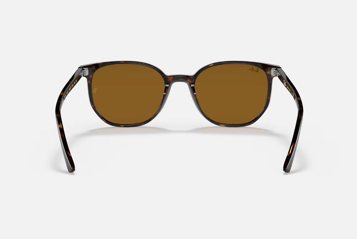 Ray Ban Elliot Sunglasses