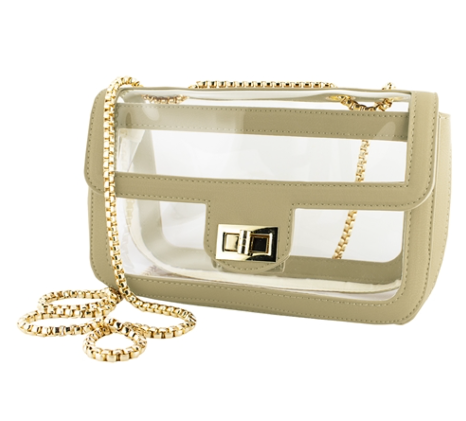 Clear bag with gold chain sales
